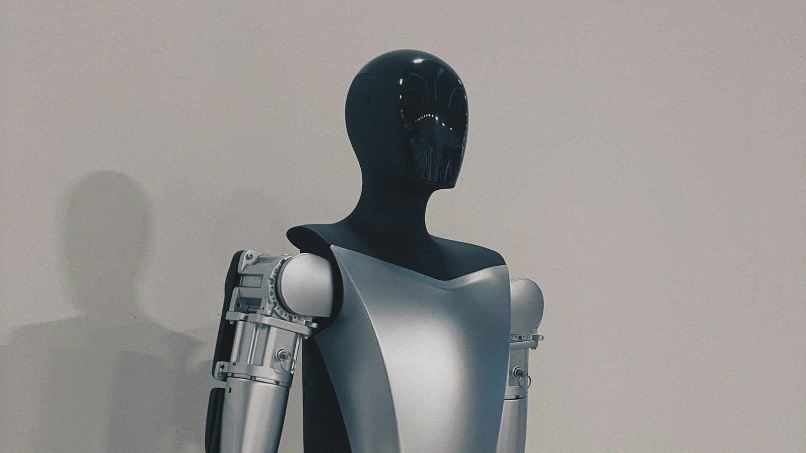 Humanoid robot